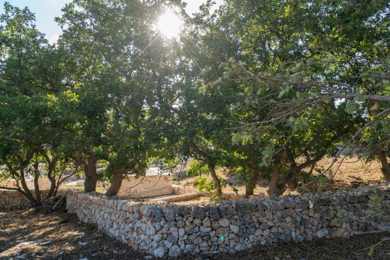 Donnapaola Modern Farm Altamura Exterior foto